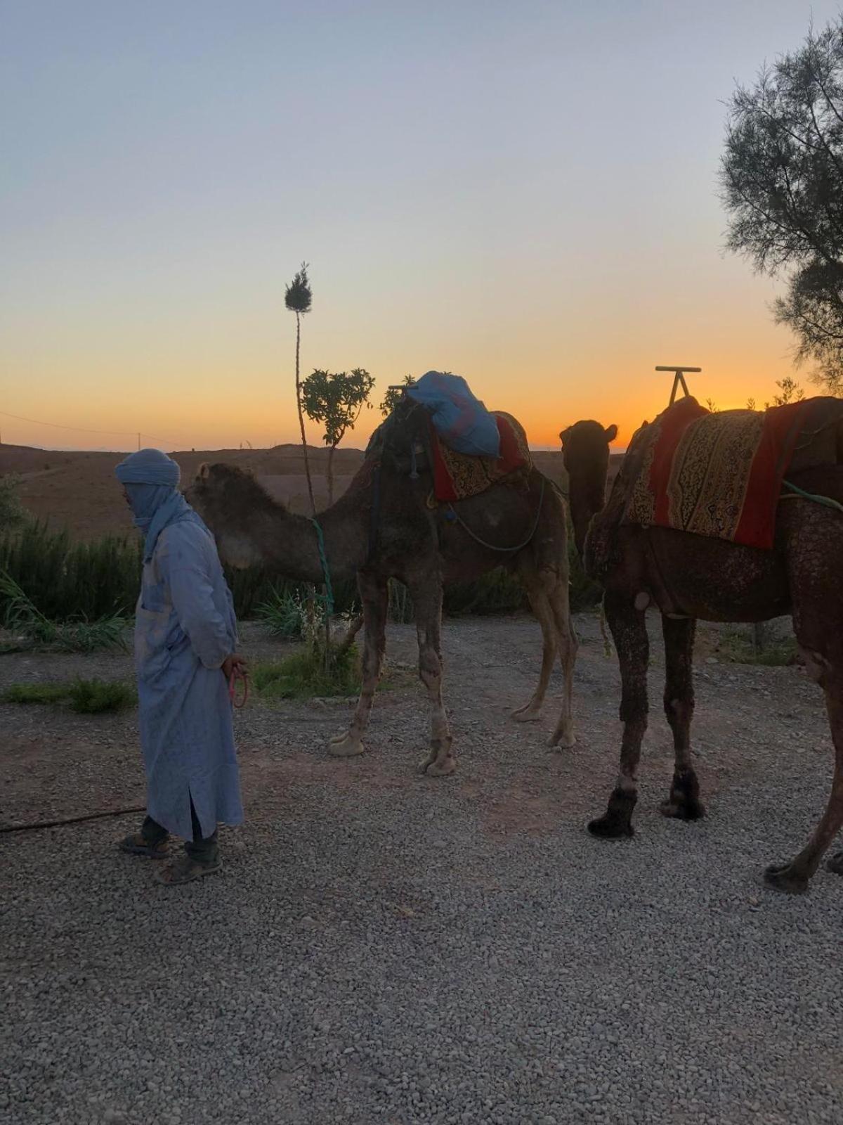 Maison D'Hotes Dar Panorama Skoura Esterno foto